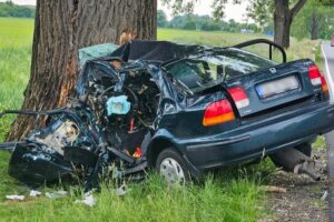 V Šali došlo k tragickej dopravnej nehode, 48-ročný muž zišiel s autom z cesty a narazil do stromu