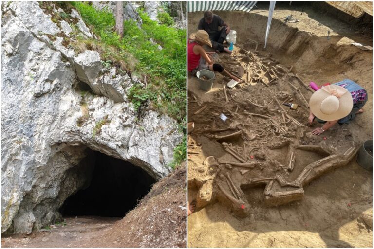 Archeológovia preskúmajú pohrebiská pod budúcim obchvatom Šale aj jaskyňu lovcov z doby kamennej v Tatrách