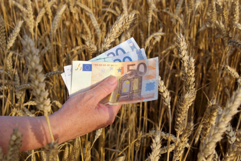 Ceny pšenice zaznamenali výrazný nárast, dôvodom je nepriaznivé počasie u dvoch kľúčových producentov