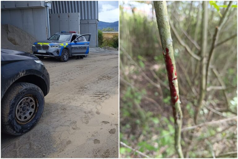 Medvedica v areáli firmy zaútočila na 49-ročného muža, v Sučanoch už jedného medveďa nedávno zastrelili – FOTO