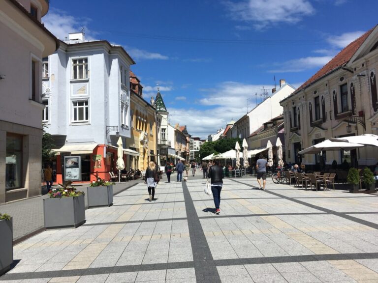 Mestskí poslanci v Piešťanoch sa prihlásili k 17. novembru, nesúhlasia s jeho zrušením ako dňa pracovného pokoja