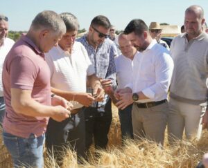 Slovensko oficiálne vstúpilo do žatevného obdobia, poľnohospodári očakávajú priemernú úrodu napriek suchu – VIDEO