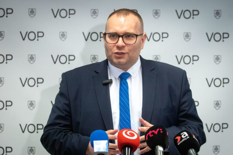 Monitoring nezistil porušenia práv a slobôd počas ME vo futbale, Dobrovodský postup polície hodnotí ako príkladný